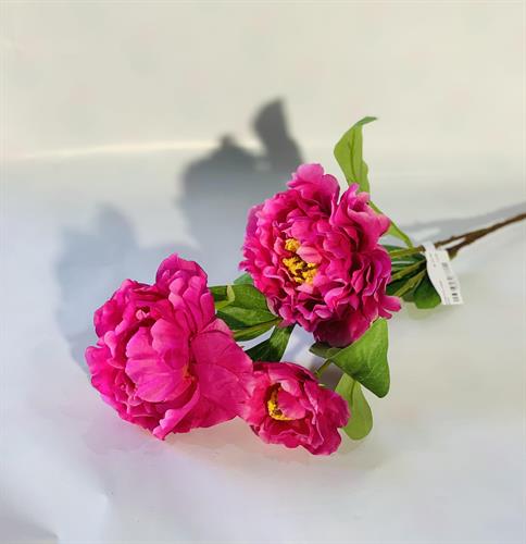 שושנה 3 בגבעול ורוד פוקסיה