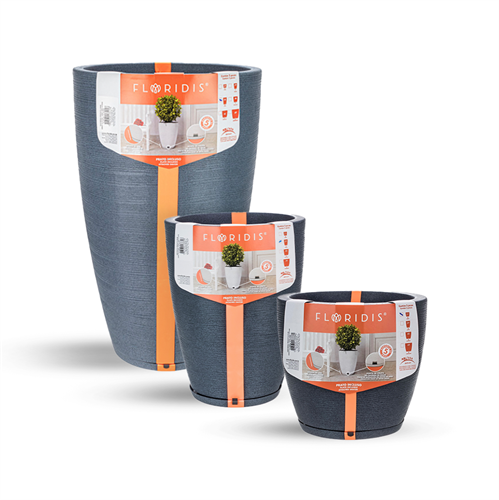 כדי אמסטרדה כדי אמסטרדה