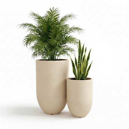 סט כדי ארגוס שחור