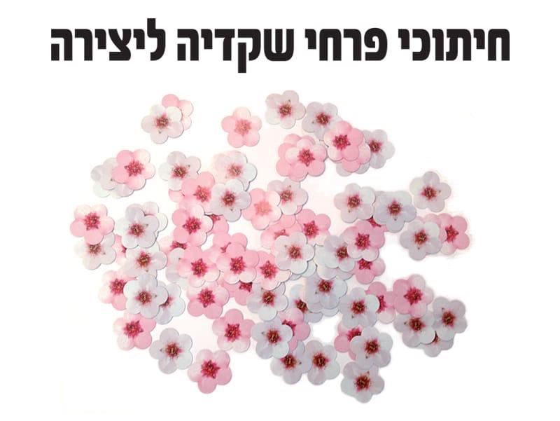 חיתוכי פרחי שקדיה ליצירה