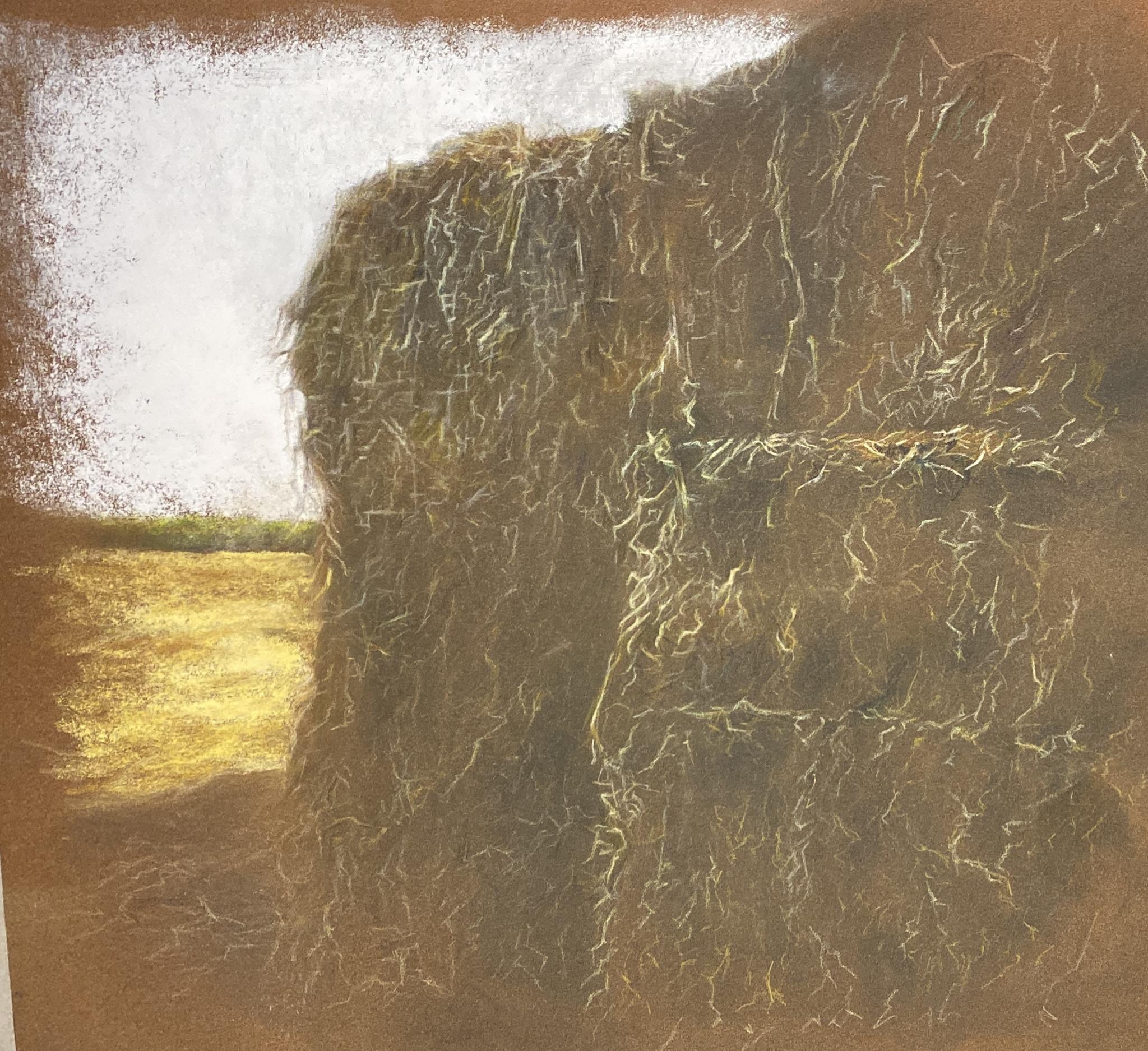 Photo 02-05-2024, 12 25 52 (52)