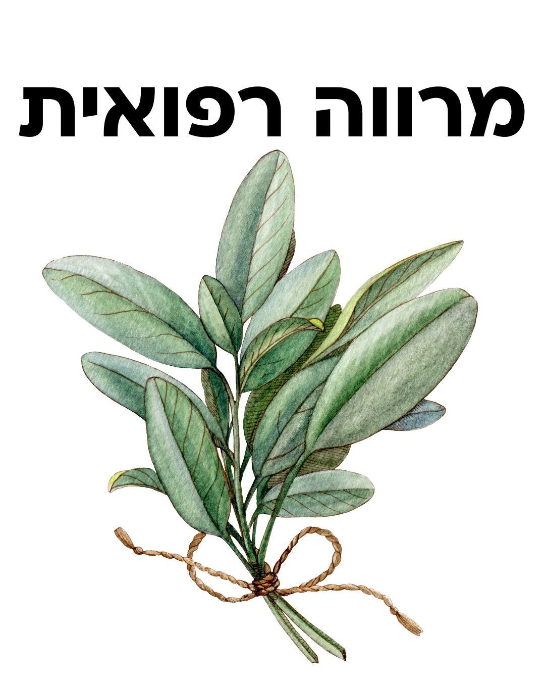 ערכת זריעה- מרווה רפואית