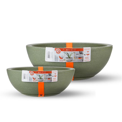 קערות אמסטרדה