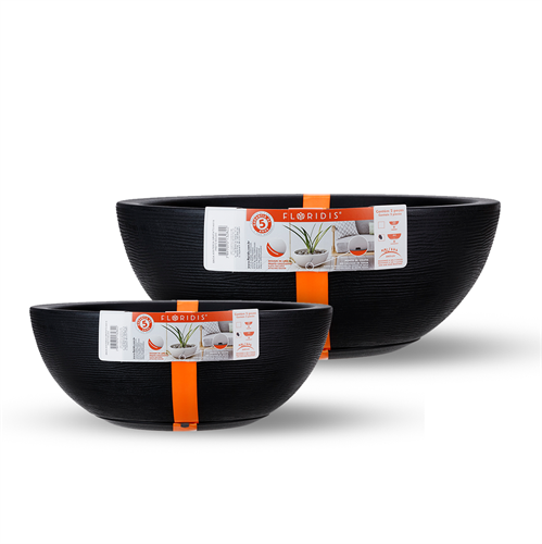 קערות אמסטרדה