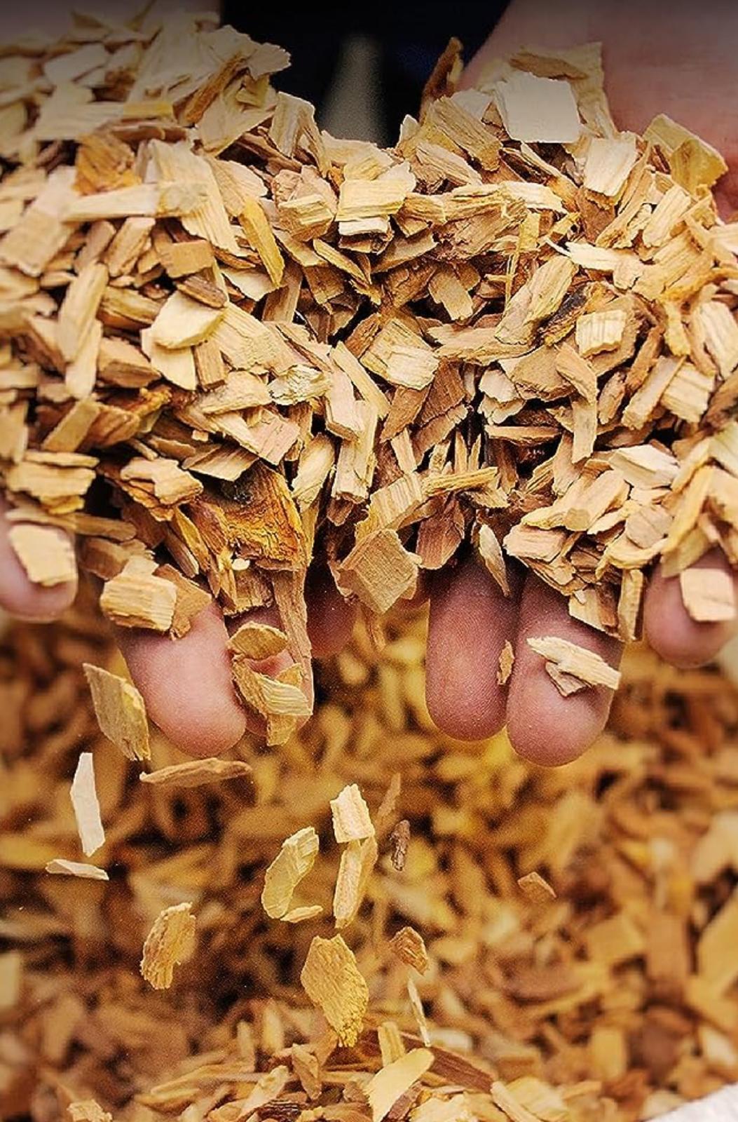 שבבי עץ היקורי