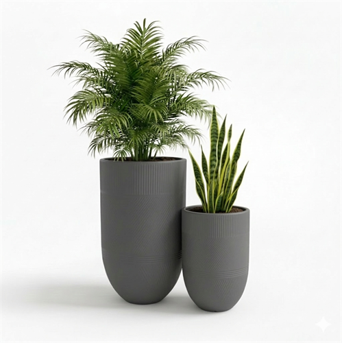 סט כדי ארגוס קרם