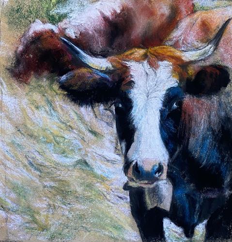 Photo 02-08-2023, 17 01 57 (8)