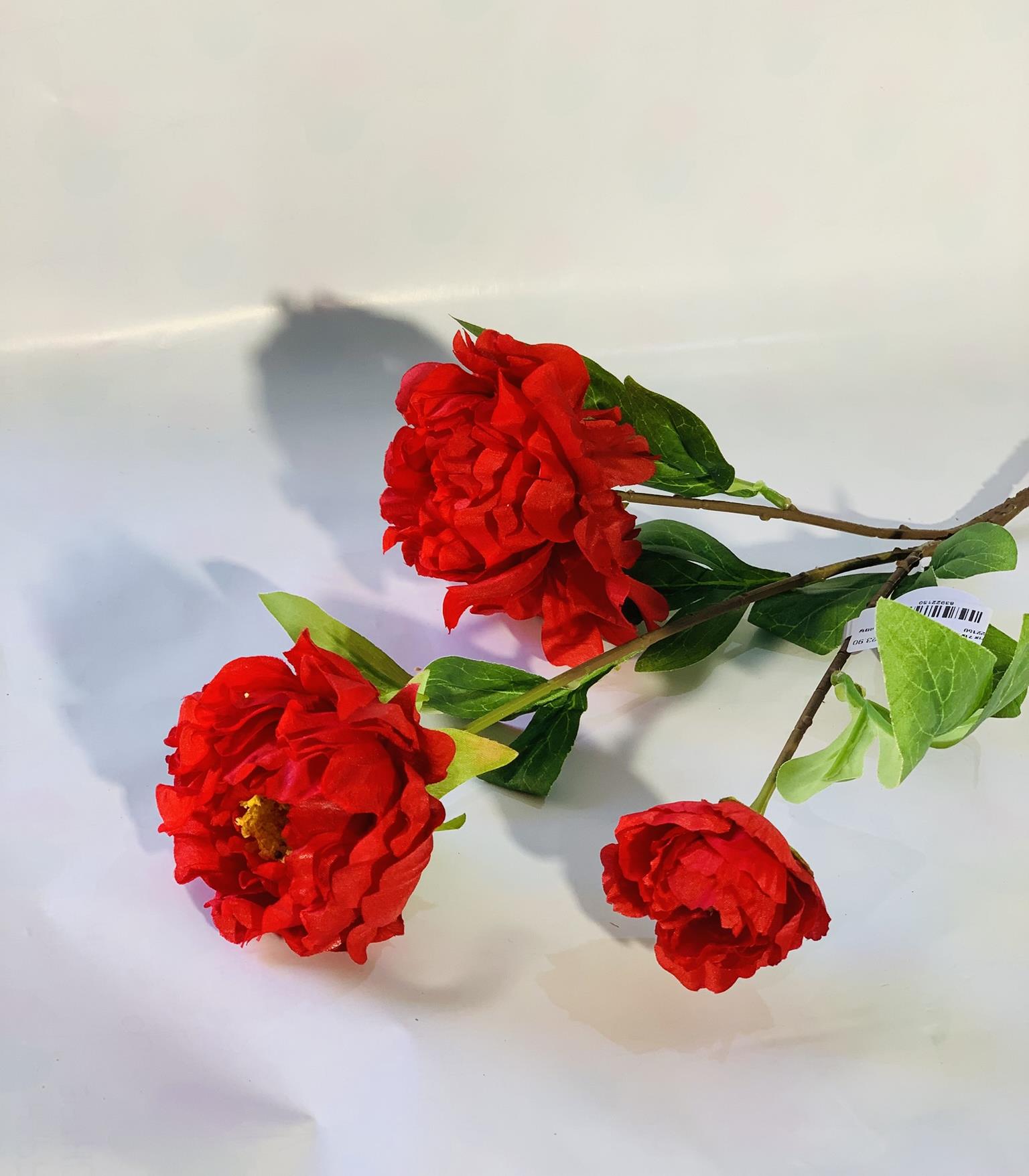 שושנים 3 אדום בגבעול