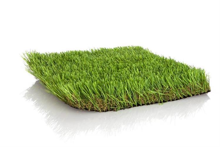 דשא סיננטי דגם סטייל