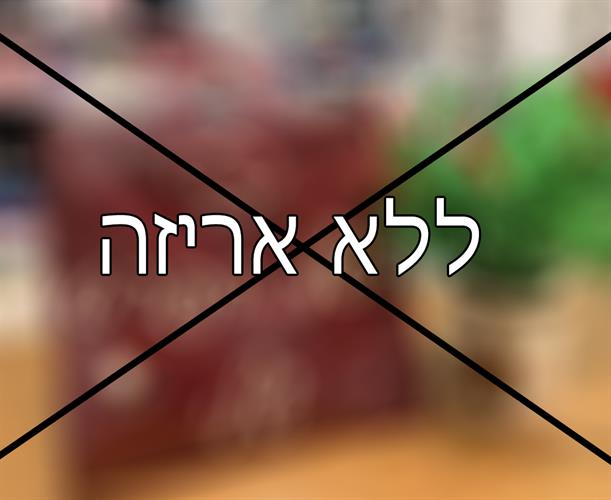 אני לא מעוניינ/ת באריזת מתנה