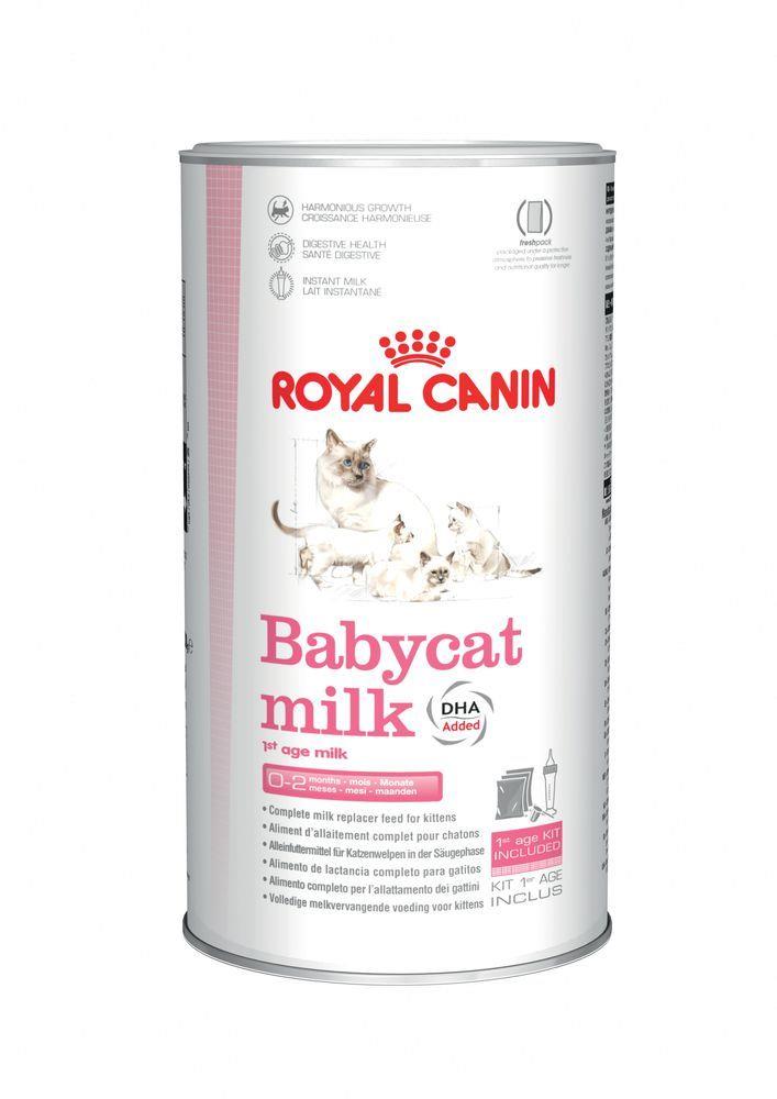 רויאל קנין אבקת תחליף חלב לגור חתול 300 ג  Royal Canin