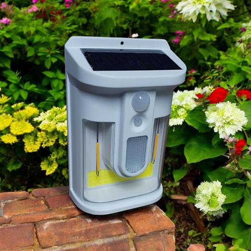 תאורה סולארית דגם גאת תאורה סולארית דגם גאת