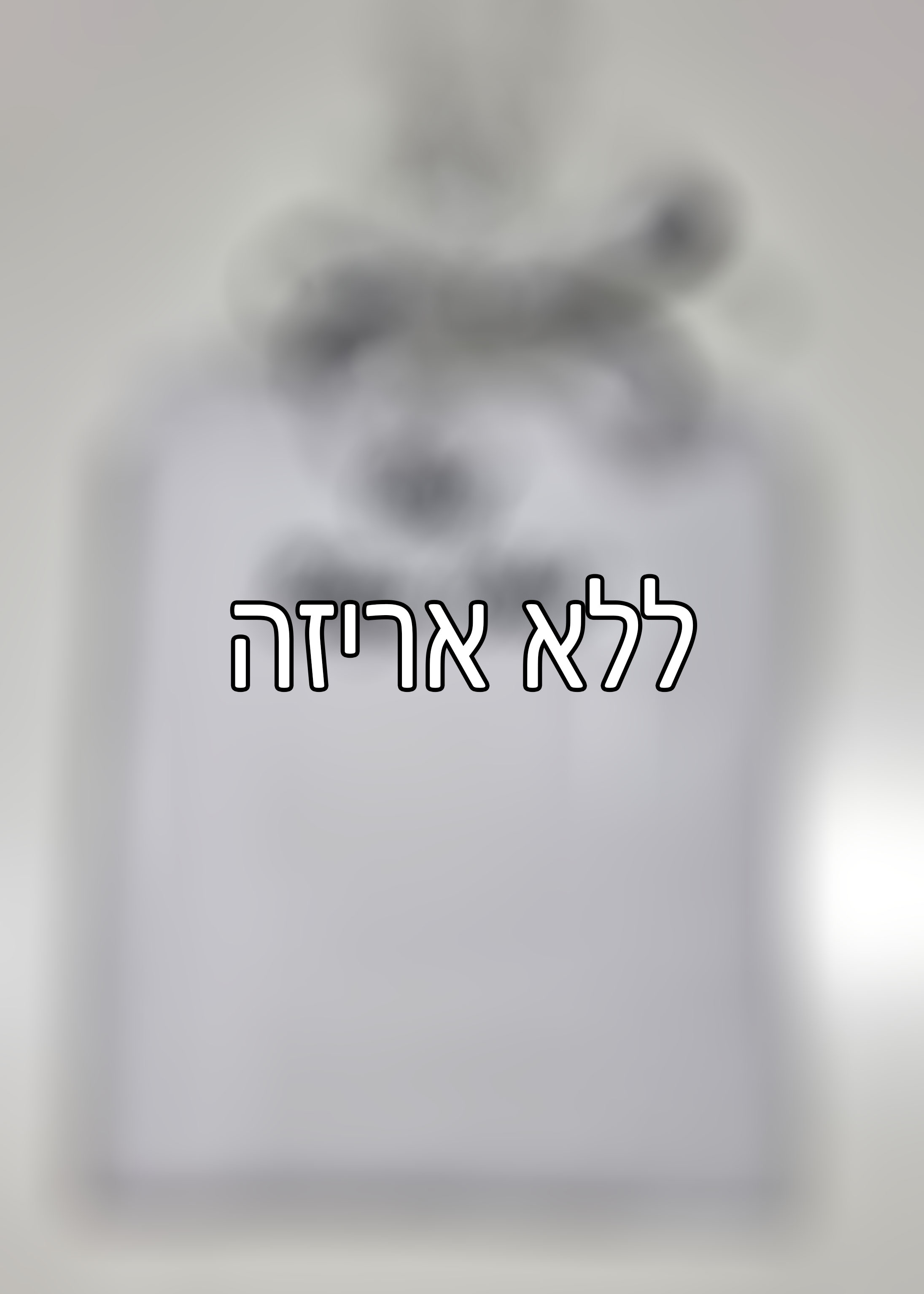 אני לא מעוניינ/ת באריזת מתנה
