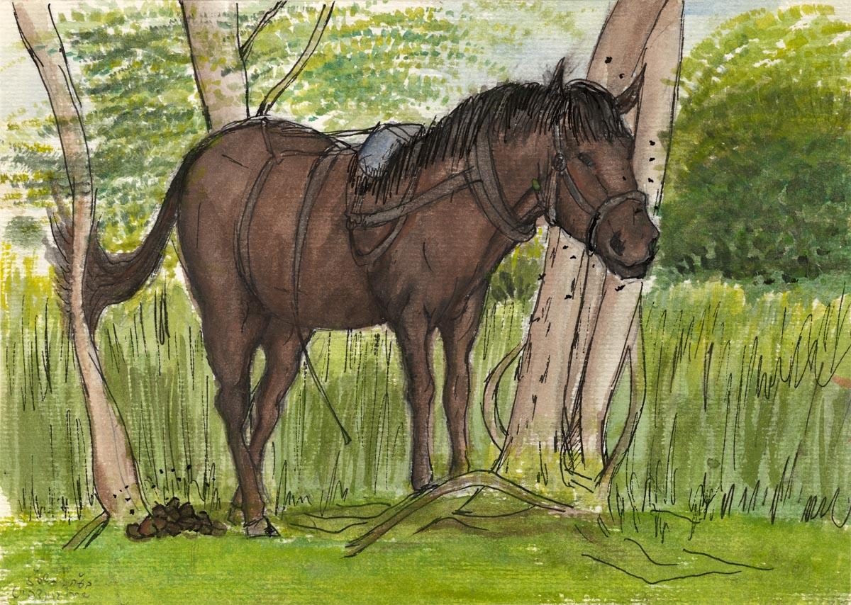 Horse in Pennsylvania, watercolor on paper, 2022, 20x30 sm