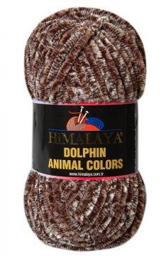 Dolphin Animal Colors