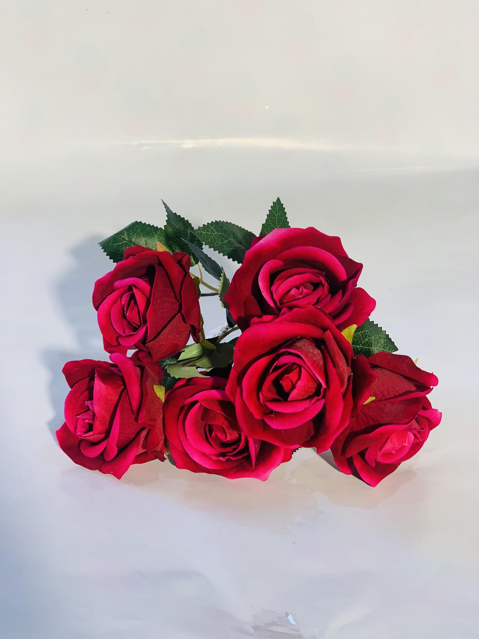 שושנים ורוד פוקסיה #3