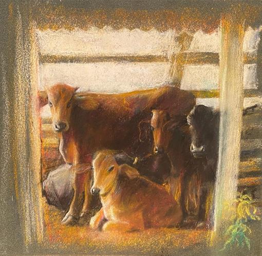 Photo 02-08-2023, 17 01 57 (10)