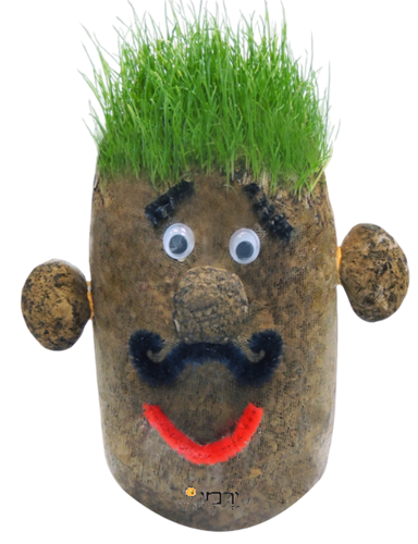 ראש דשא מארז ל-18 ילדים