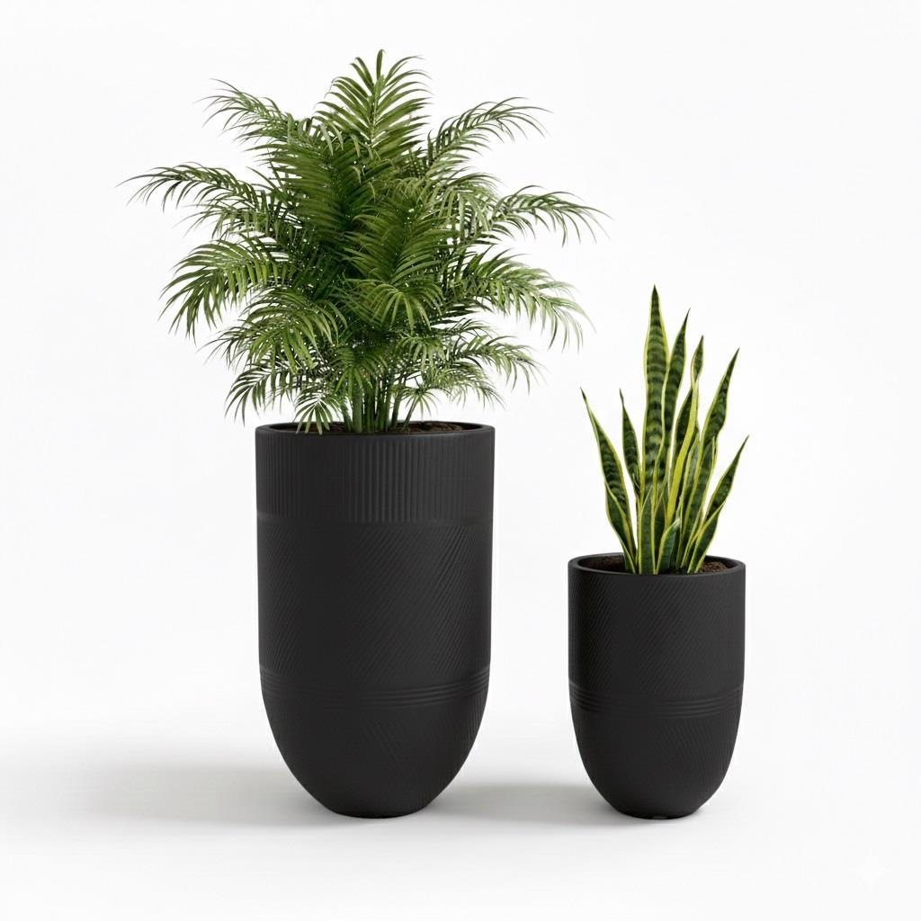 סט כדי ארגוס אפור כהה סט כדי ארגוס אפור כהה