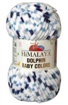 Dolphin Baby Colors