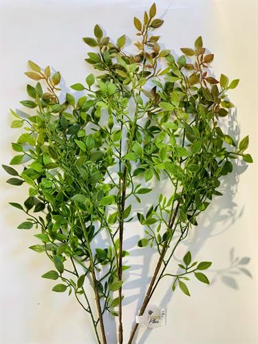 עלים ירוק #2