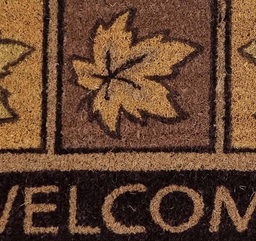 שטיחי סף / כניסה לבית באיכות גבוהה - Leaves