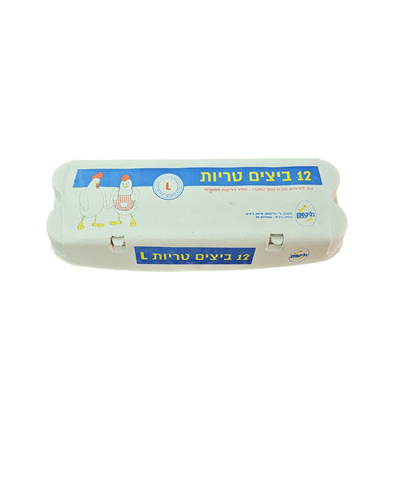 תבנית 12 ביצים L גליקסמן