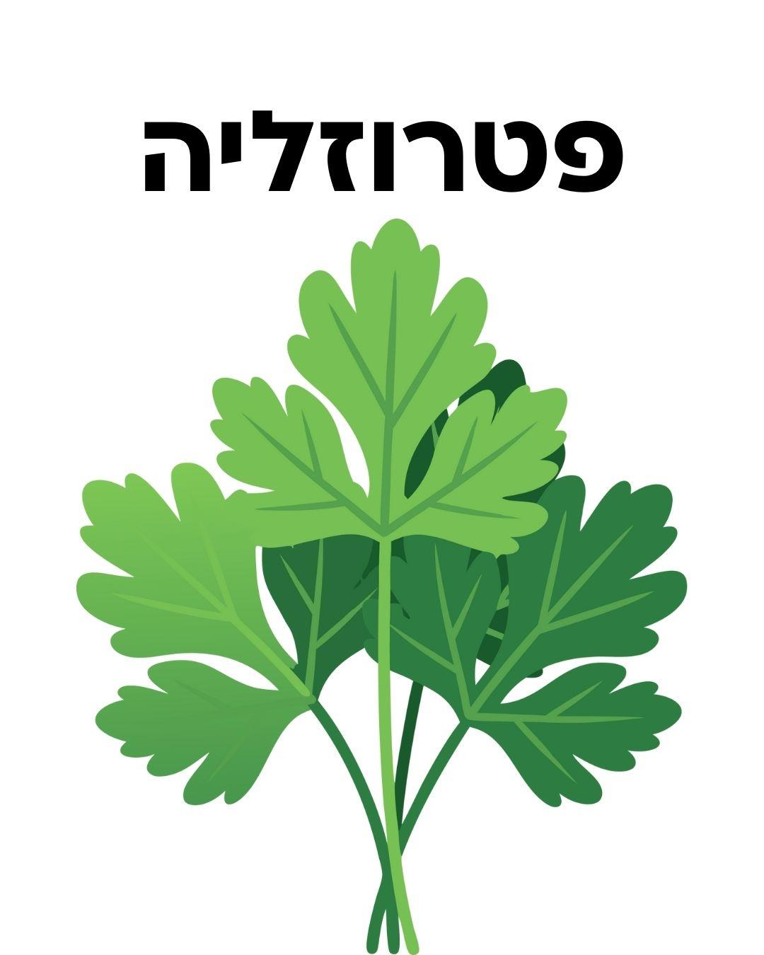 ערכת זריעה- פטרוזליה