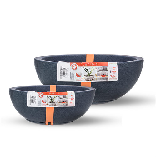 קערות אמסטרדה