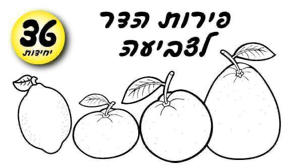 עבודת יצירה פירות הדר לצביעה