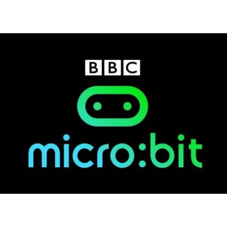 כרטיס פיתוח מיקרו ביט Micro Bit