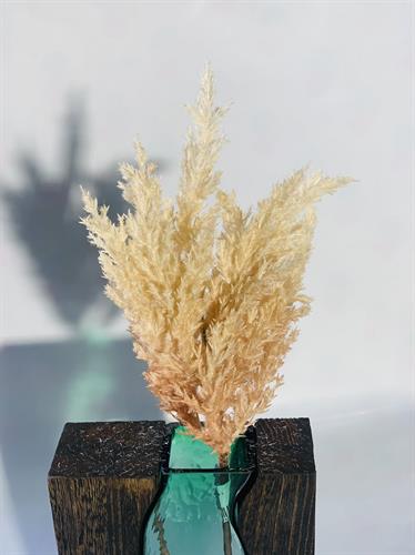 עלים 106-1 שמנת #5