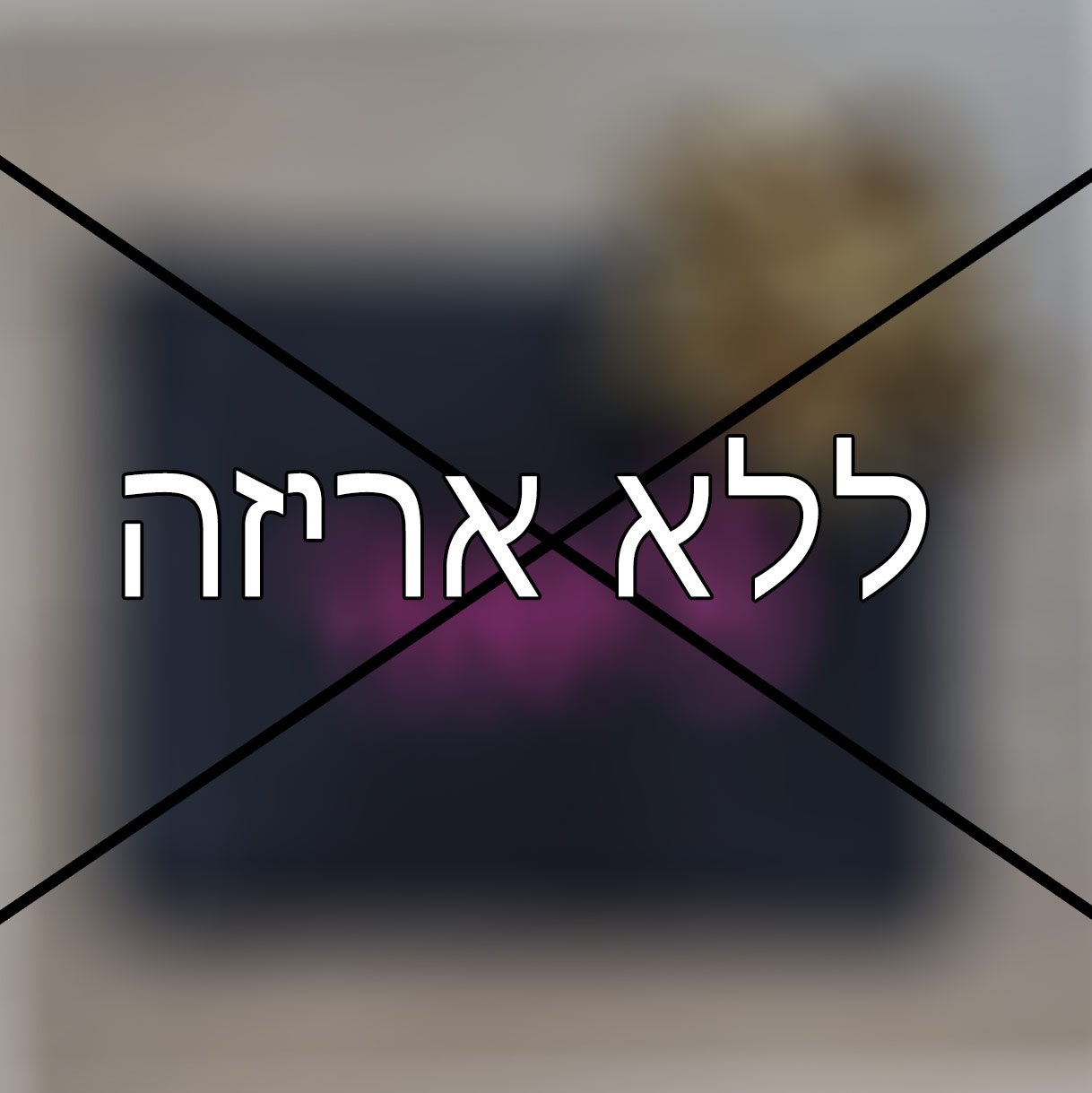 אני לא מעוניינ/ת באריזת מתנה