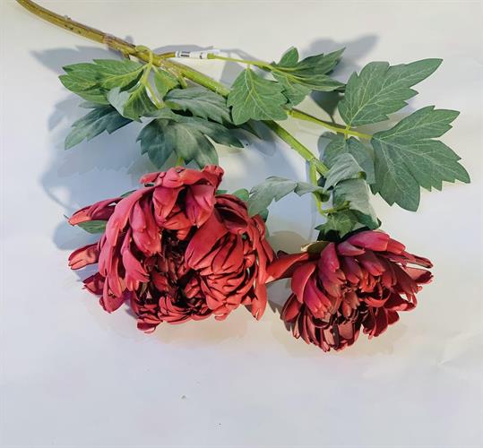 שושנים עם עלים #5 בורדו