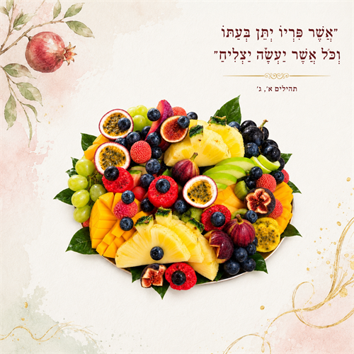 פינוקי פירות M - ספיישל חג