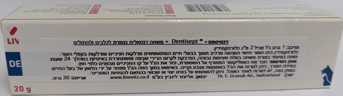 מידע דנטיספט Dentisept-שופיפט 