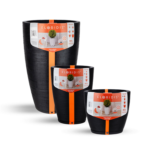 כדי אמסטרדה