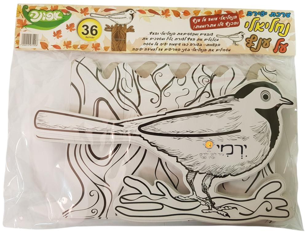 עבודות יצירה נחליאלי + ענף להרכבה