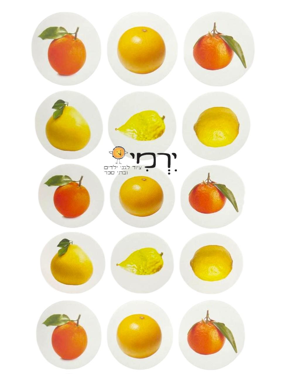 מדבקות פרי הדר ג'מבו