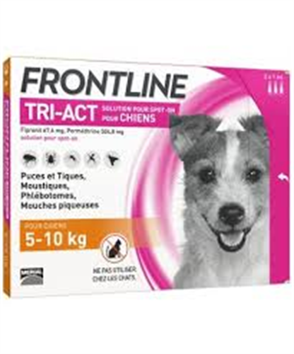 פרונטליין 3 אמפולות נגד פרעושים וקרציות לכלב מ- 5 ק"ג עד 10 ק"ג