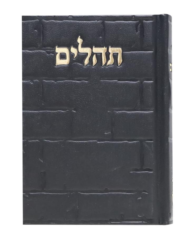תהילים - דגם כותל - כיס