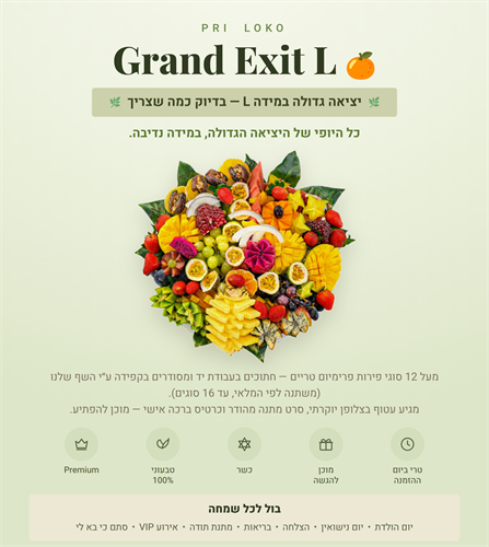 יציאת פירות L 🍊