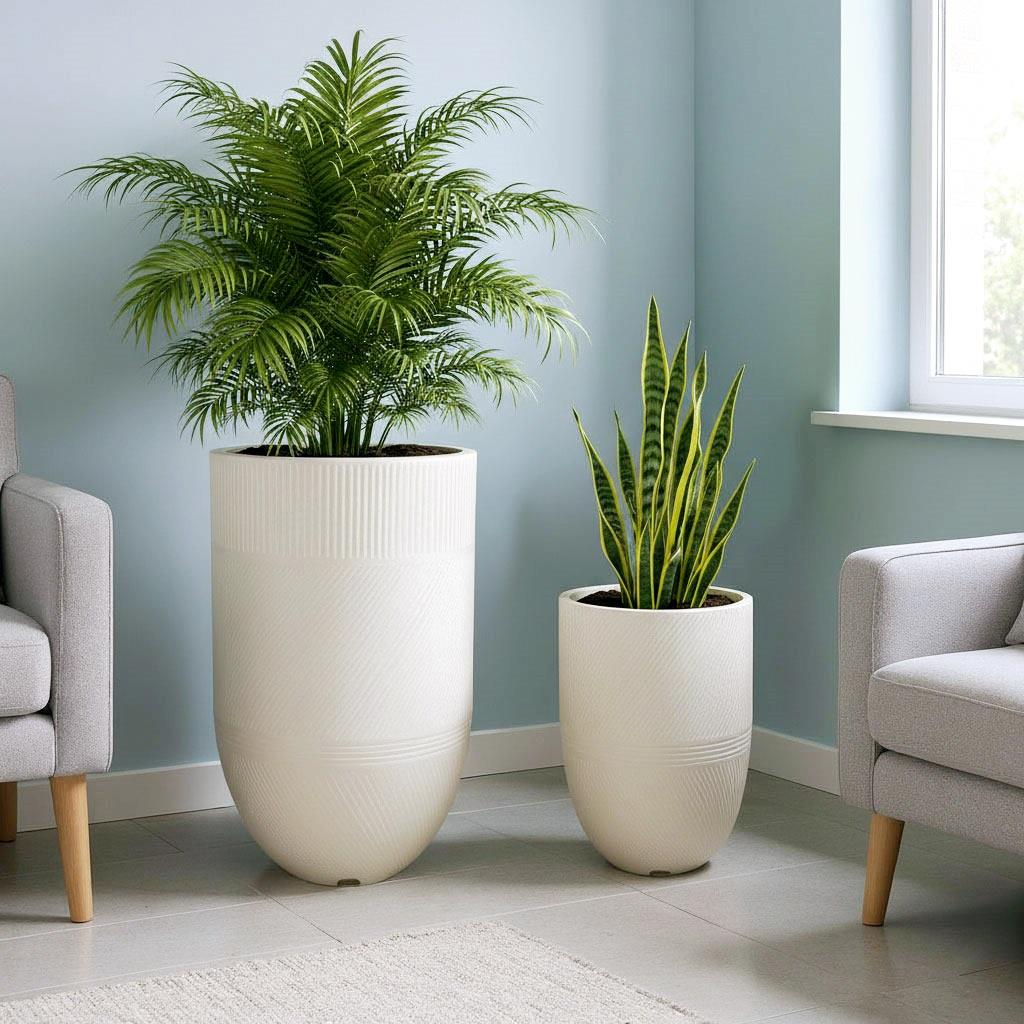 סט כדי ארגוס סמנט