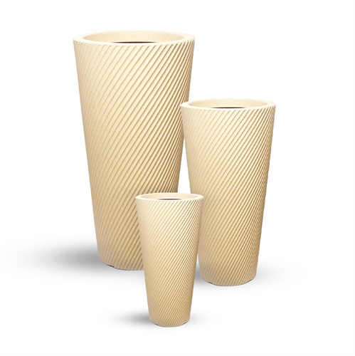 ויטה קוני ויטה קוני