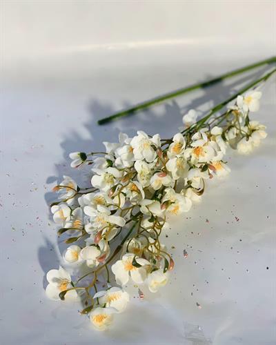 פרחים קטנים לבן #1