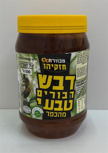 דבש חזקיהו