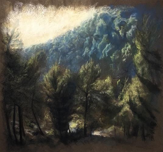 Photo 02-05-2024, 12 25 52 (40)