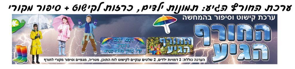 ערכת קישוט החורף הגיע