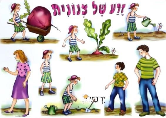 פלקט זרע של צנונית