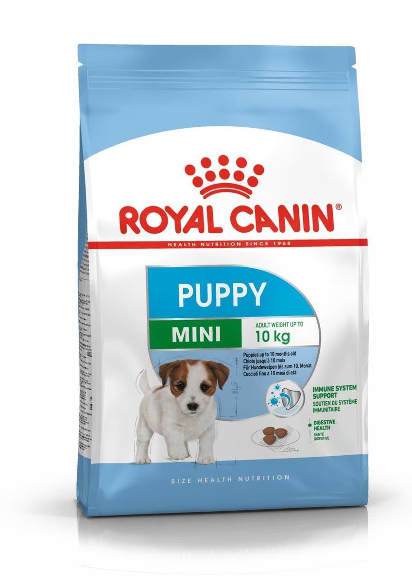 רויאל קנין SHN מיני פאפי 4 קג Royal Canin שופיפט